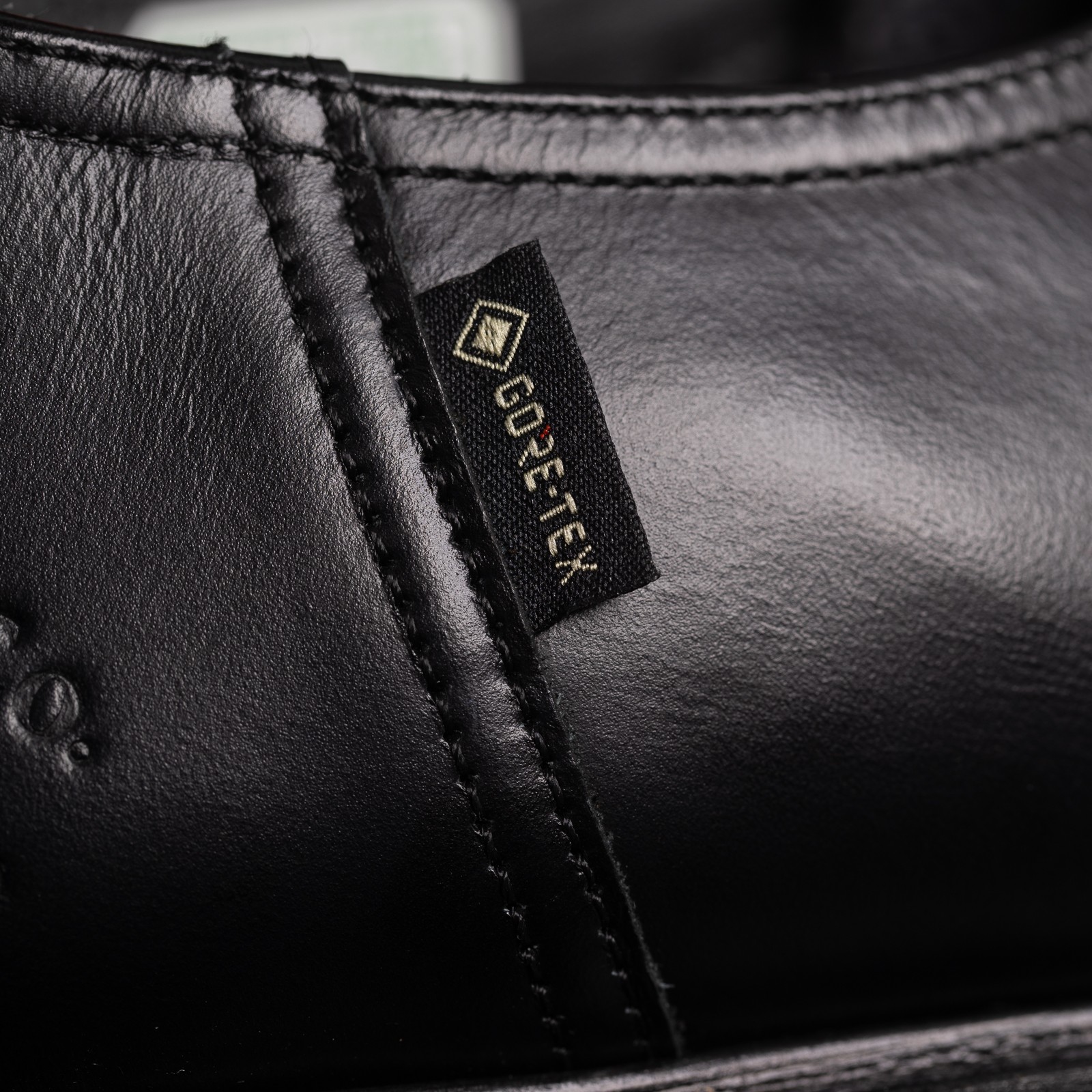 image REGAL SHOES & CO. / Tyrolean Gore-Tex Black logo gore tex