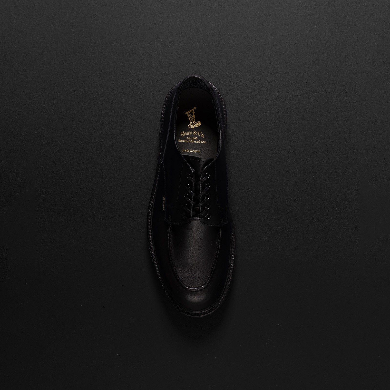 image REGAL SHOES & CO. / U-Tip Gore-Tex Black contexte