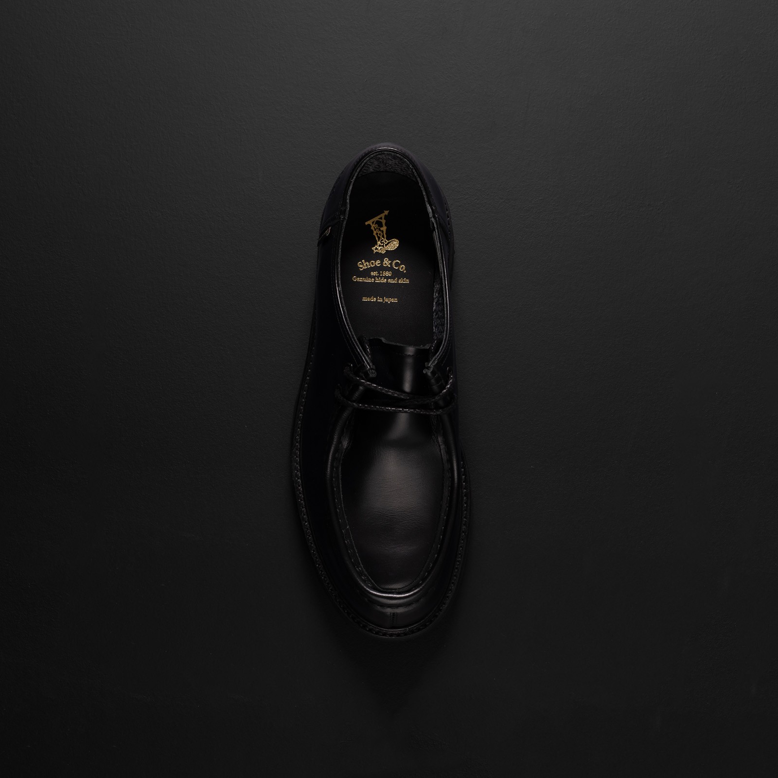image REGAL SHOES & CO. / Tyrolean Gore-Tex Black contexte