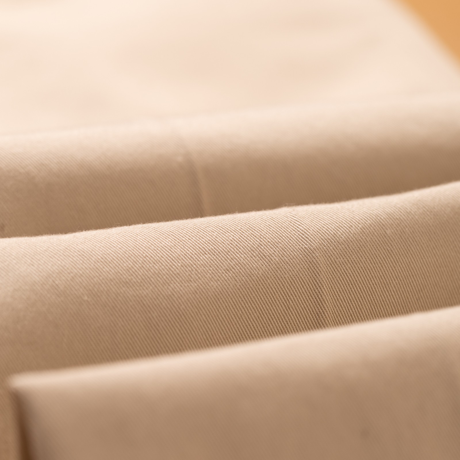 Image flâneurs BARNSTORMER / 1955UC 2Pleated Chino Beige détail 4
