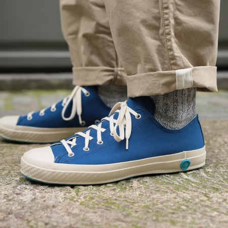 Low Indigo Sneakers