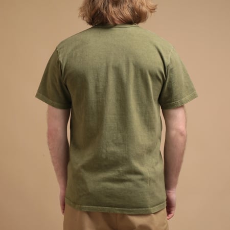 Short Sleeve Henley Tee in Pale Sage
