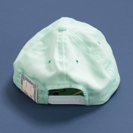 H.W. DOG & CO / Plain 6P Cap Light Green