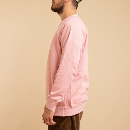 Raglan Crewneck Sweatshirt in Peach Coral