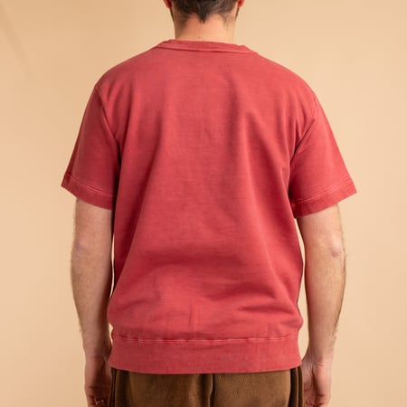 Short Sleeve Terry Shirt in Faded Red