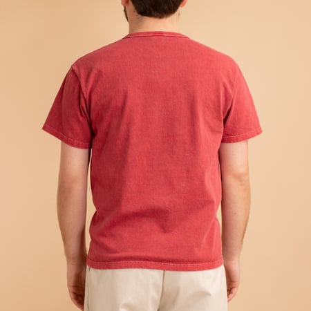 Short Sleeve Henley Tee in Faded Red
