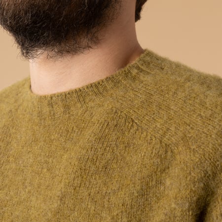 Shaggy Crew Neck in Coriander
