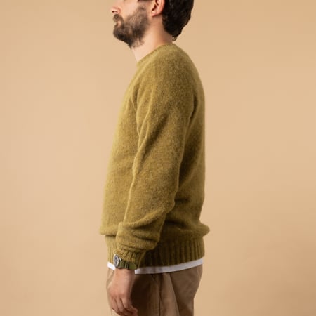 Shaggy Crew Neck in Coriander