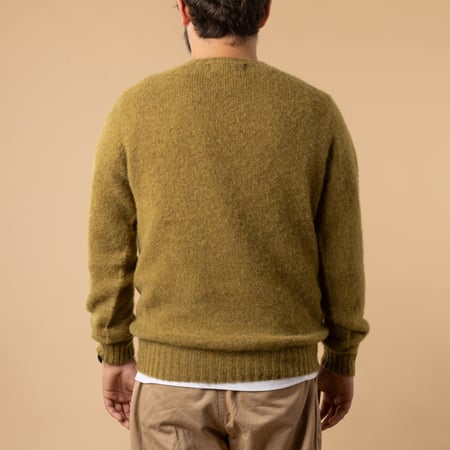 Shaggy Crew Neck in Coriander