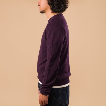 Aris Plum Crewneck Sweater