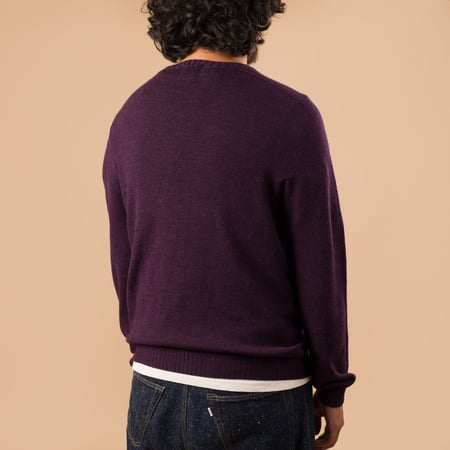 Aris Plum Crewneck Sweater