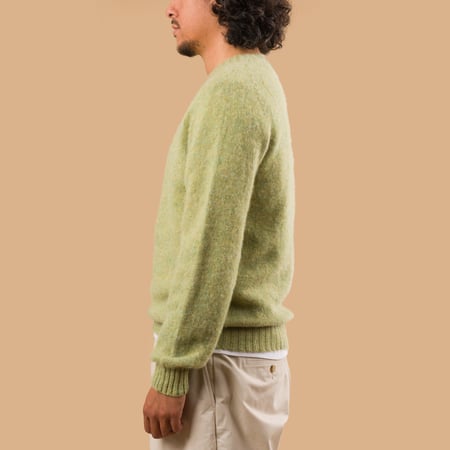Shaggy Crew Neck Avocado