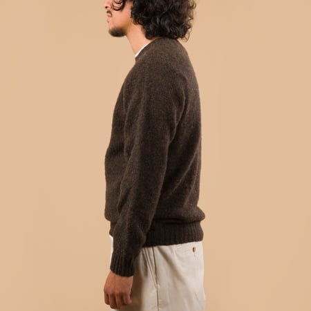 Shaggy Crew Neck Carob
