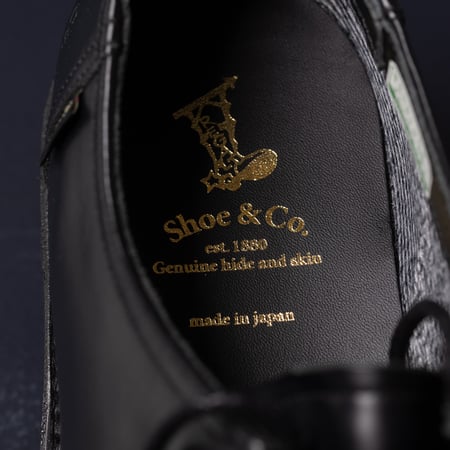 image REGAL SHOES & CO. / Tyrolean Gore-Tex Black logo semelle