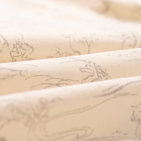 image flâneurs STUDIO D'ARTISAN / 5736 Manga Open Collar Shirt Ivory détail matière