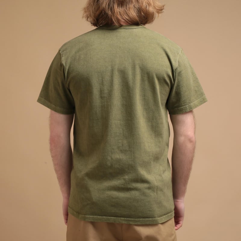 Short Sleeve Henley Tee in Pale Sage