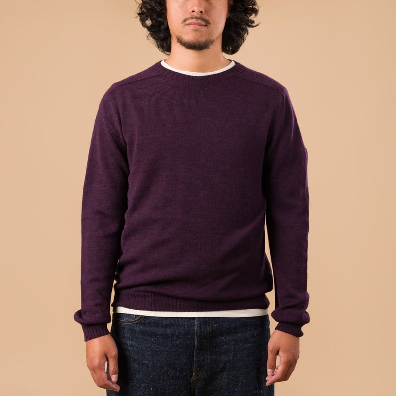 Aris Plum Crewneck Sweater