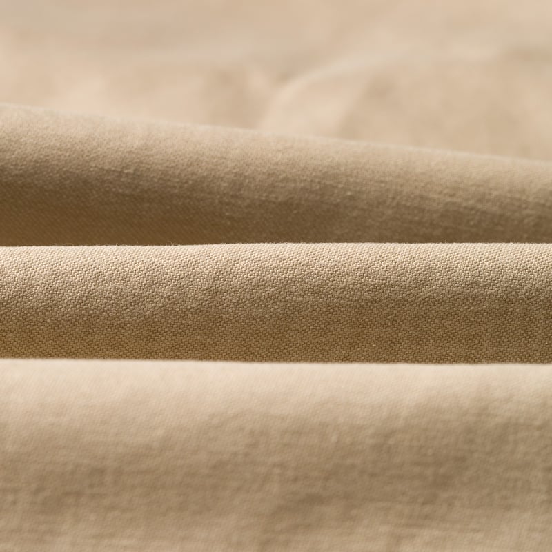 image flâneurs JAPAN BLUE JEANS  Regular Fit Trousers Beige détail 3