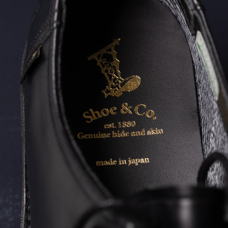 image REGAL SHOES & CO. / Tyrolean Gore-Tex Black logo semelle